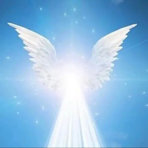 Meet your Posher, Lindsay